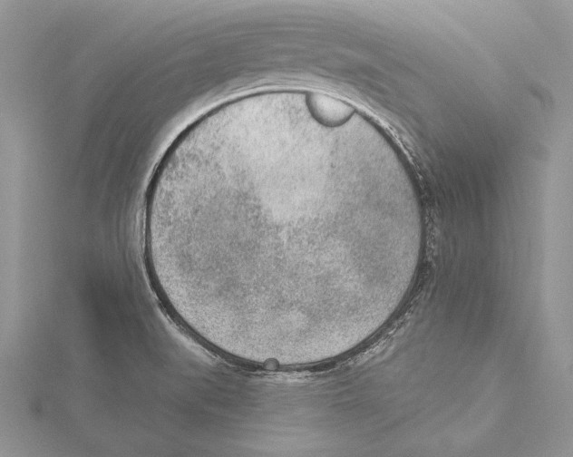 X0000115431519200912020914