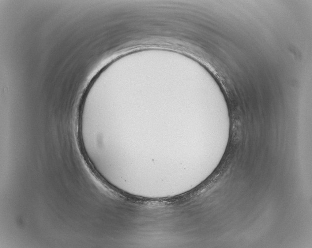 X0000115431523200912020914