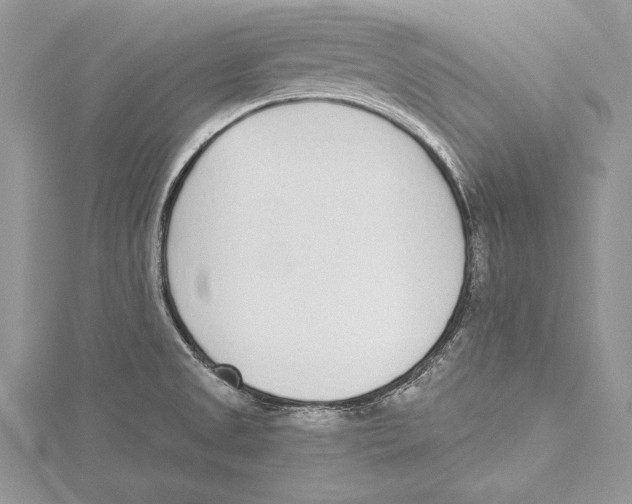 X0000115431525200912020914