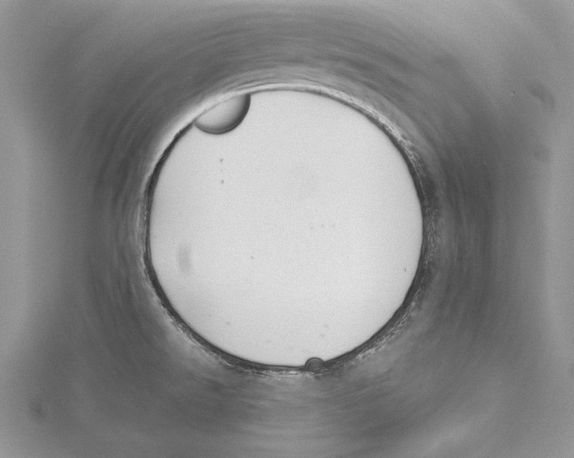 X0000115431526200912020914