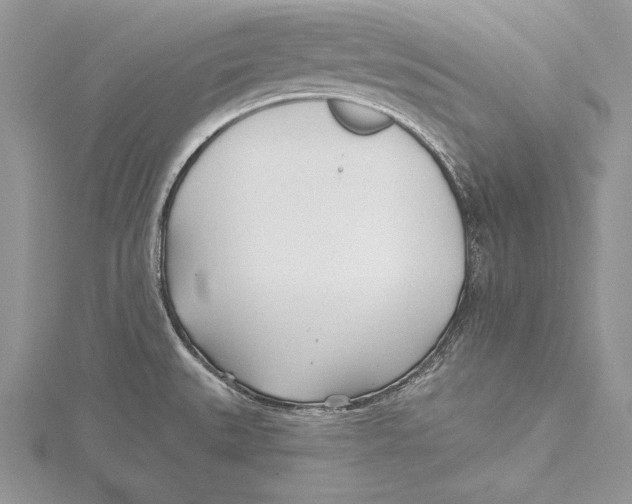 X0000115431527200912020914