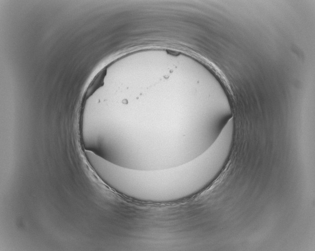 X0000115431530200912020914