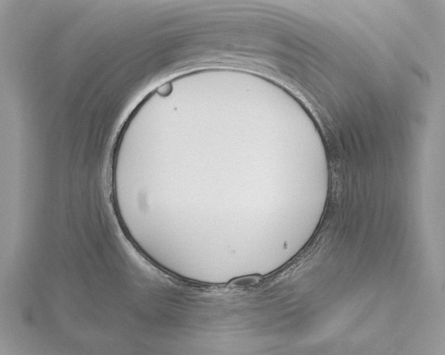 X0000115431531200912020914