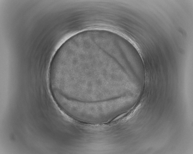 X0000115431533200912020914