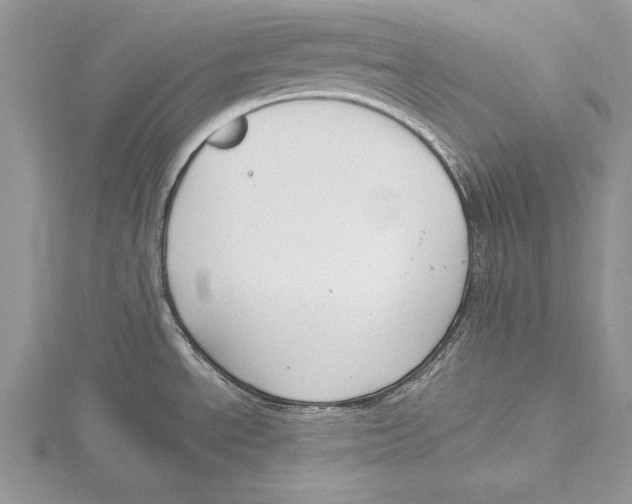 X0000115431534200912020914