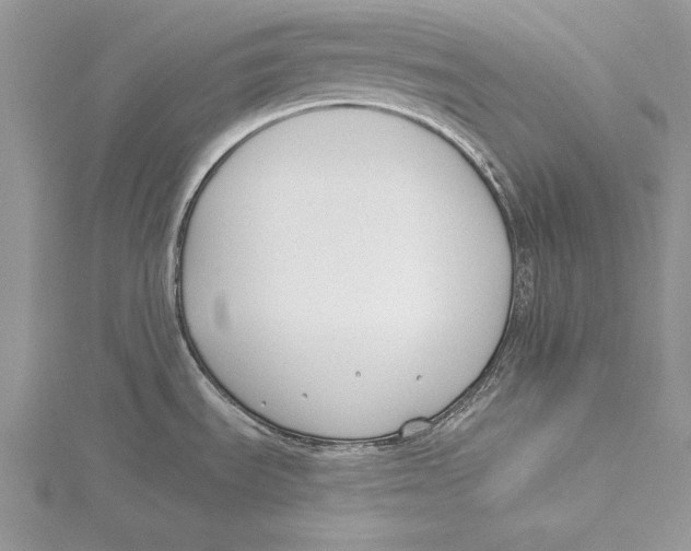 X0000115431535200912020914