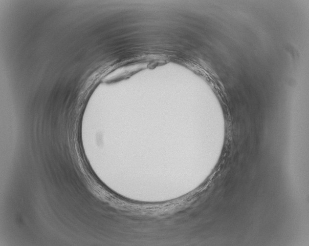 X0000115430001200912161443