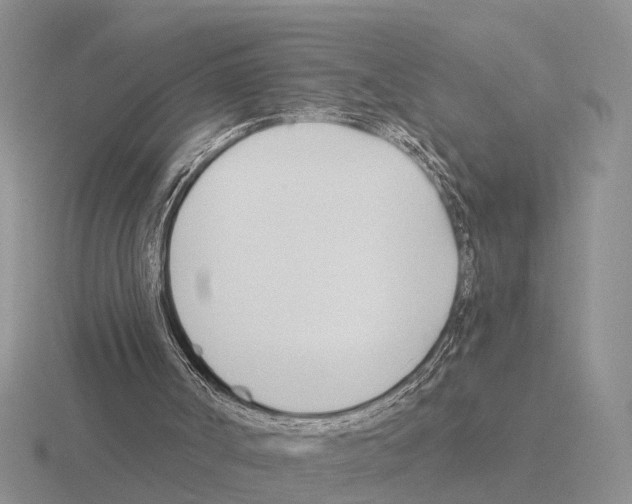 X0000115430002200912161443