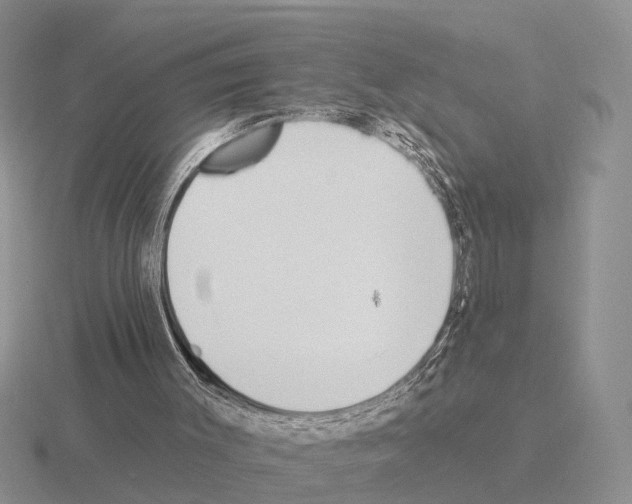 X0000115430003200912161443