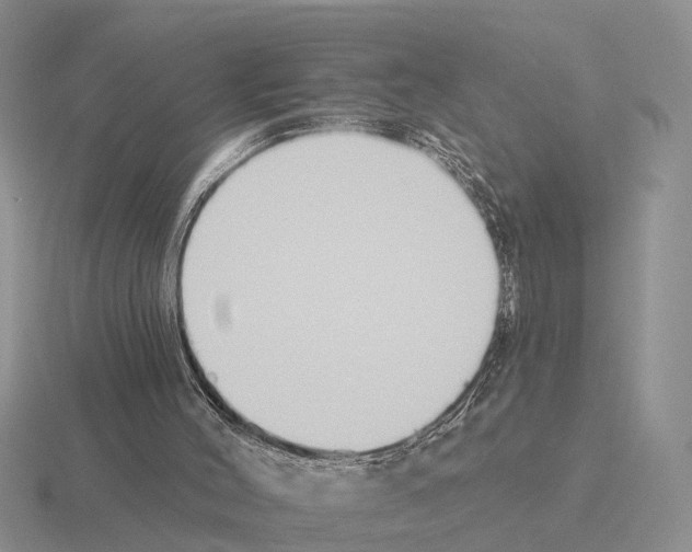 X0000115430004200912161443