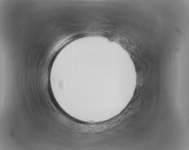 X0000115430005200912161443