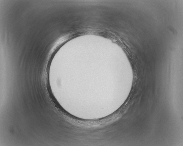 X0000115430006200912161443