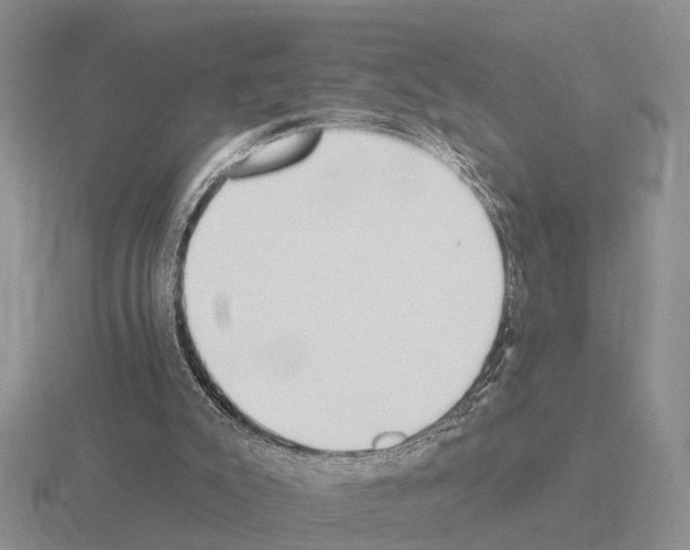 X0000115430007200912161443