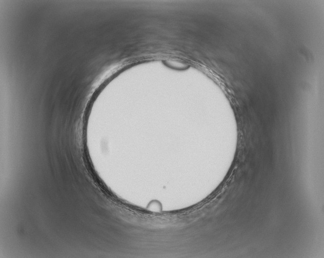 X0000115430008200912161443