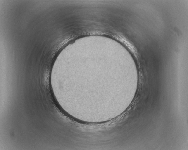 X0000115430009200912161443