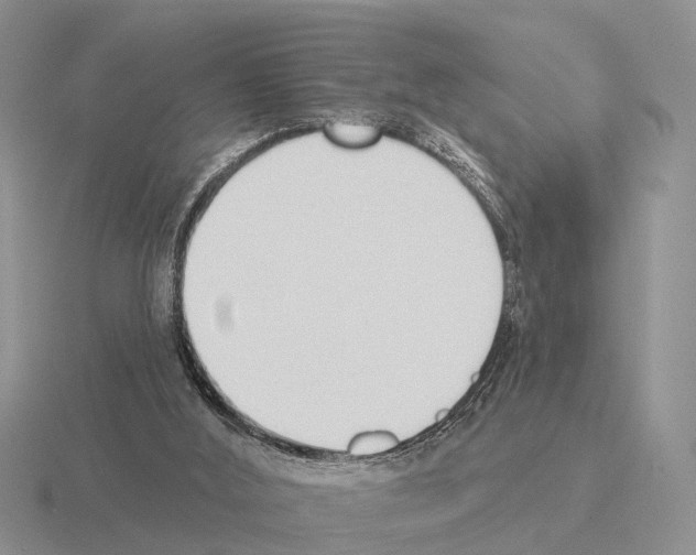 X0000115430012200912161443