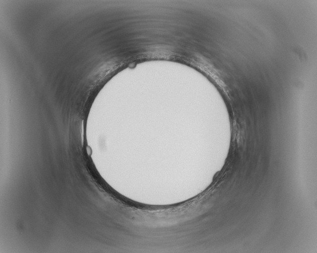 X0000115430013200912161443