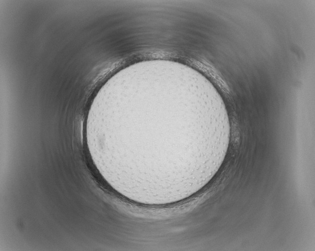 X0000115430014200912161443