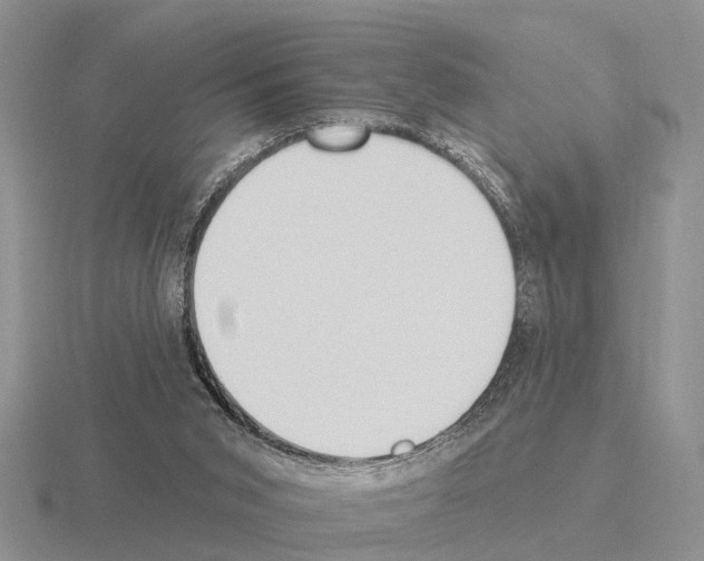 X0000115430015200912161443