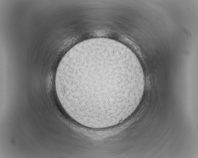 X0000115430018200912161443