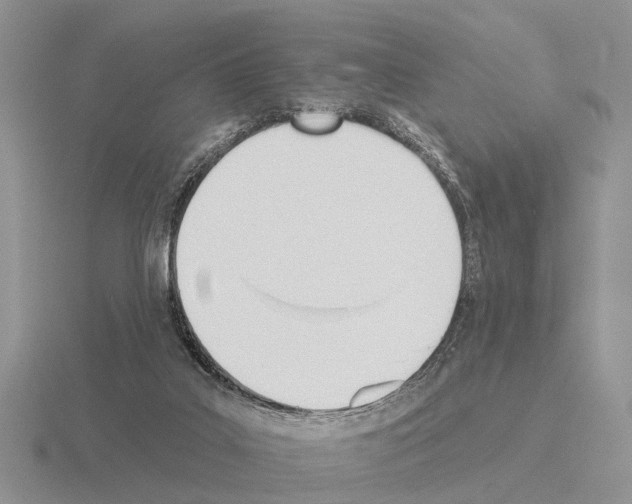 X0000115430019200912161443