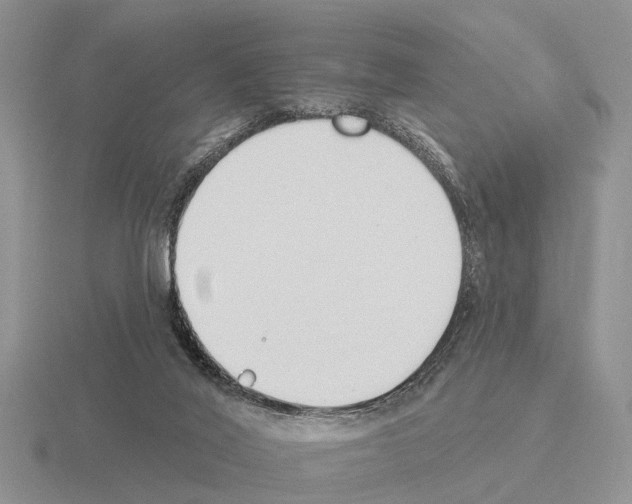 X0000115430020200912161443