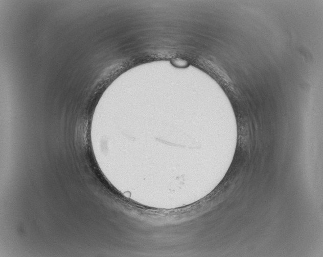 X0000115430023200912161443