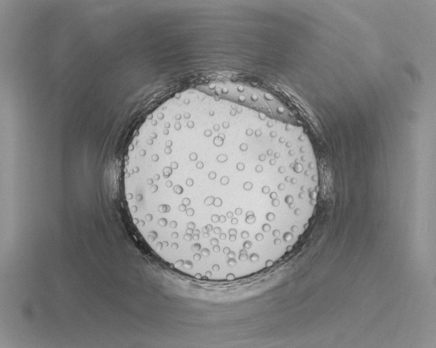 X0000115430026200912161443