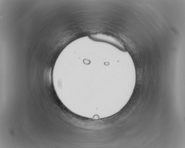 X0000115430028200912161443