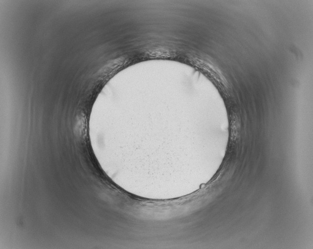 X0000115430029200912161443