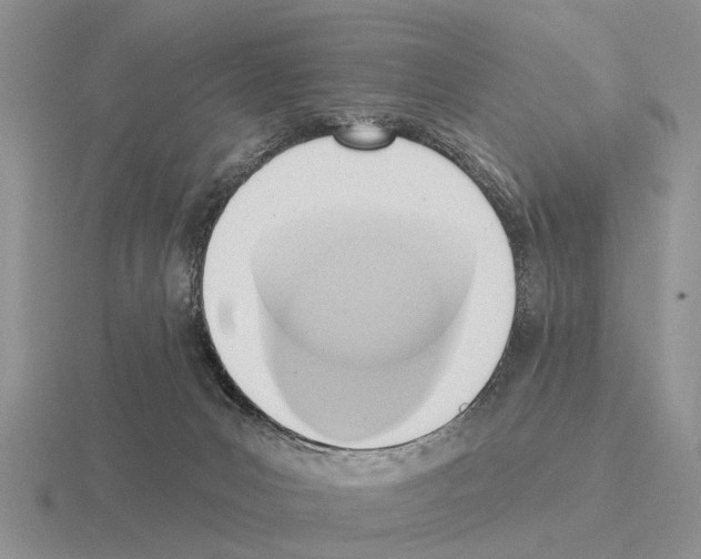 X0000115430031200912161443