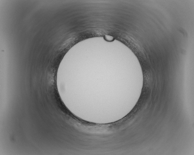 X0000115430032200912161443