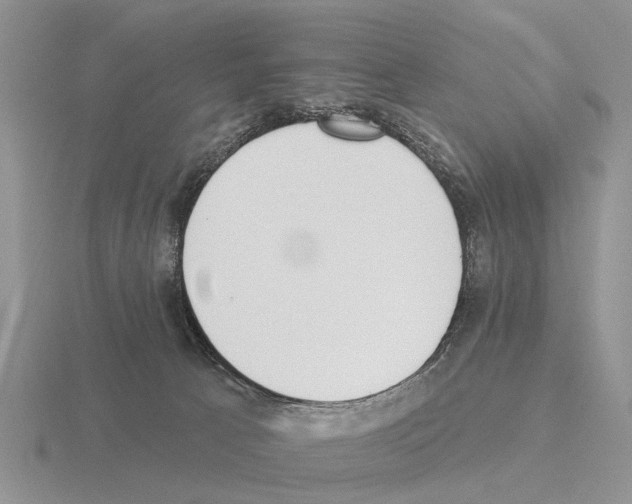 X0000115430033200912161443