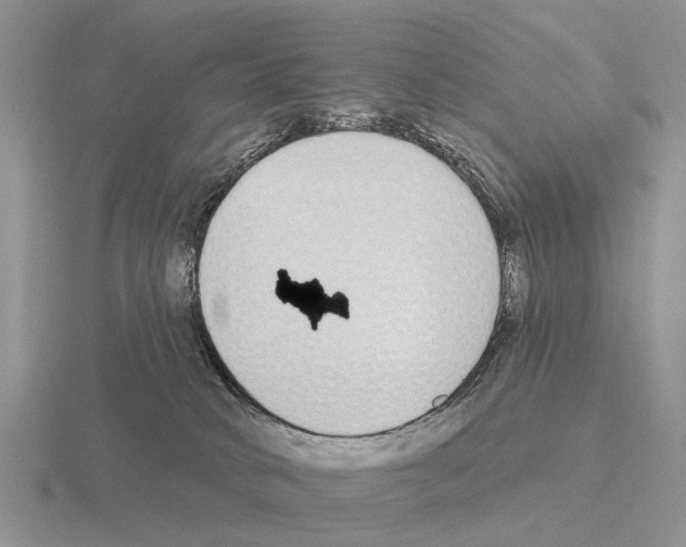 X0000115430034200912161443