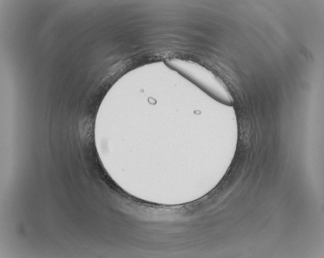 X0000115430036200912161443