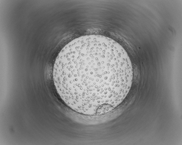 X0000115430038200912161443