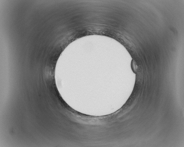 X0000115430040200912161443