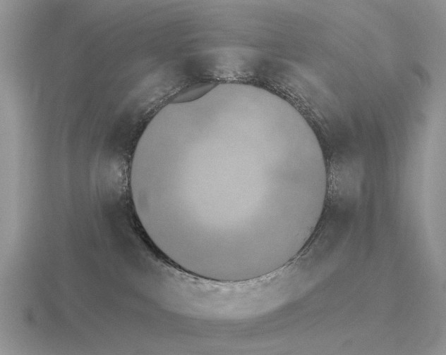 X0000115430043200912161443