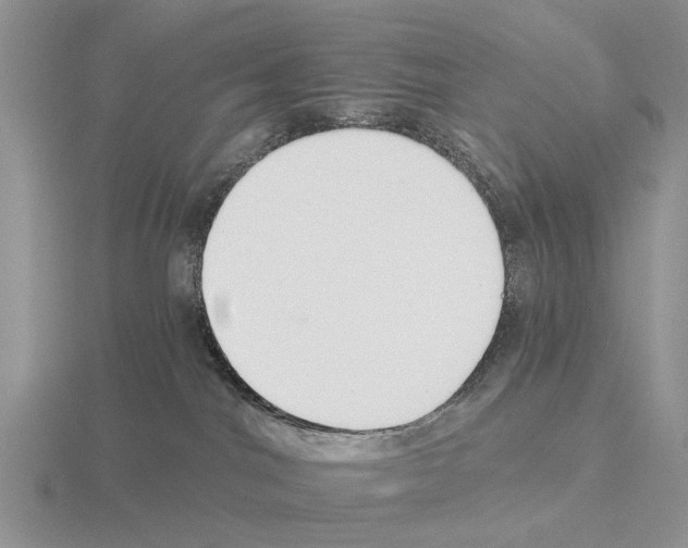 X0000115430044200912161443