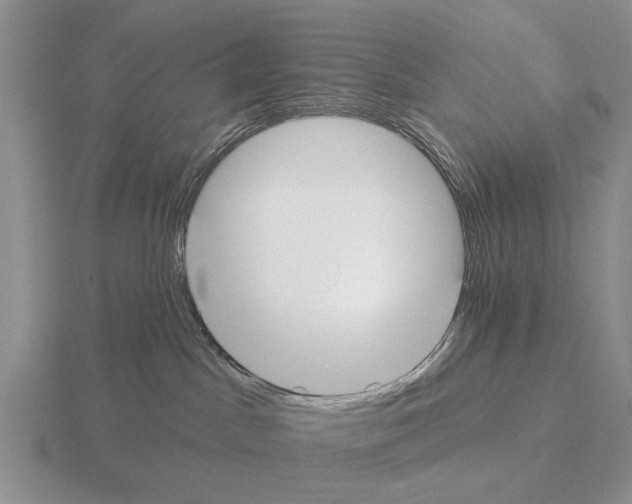 X0000115430045200912161443