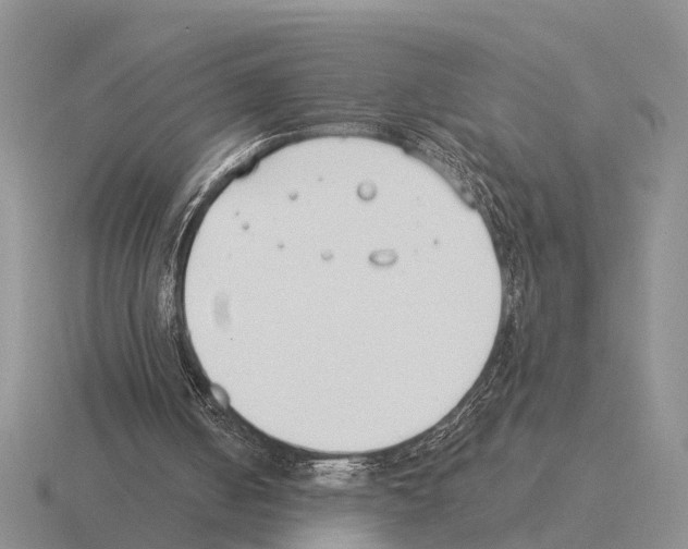 X0000115430050200912161442