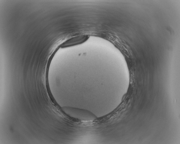 X0000115430052200912161442