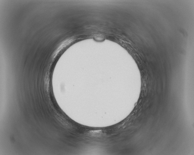 X0000115430054200912161442