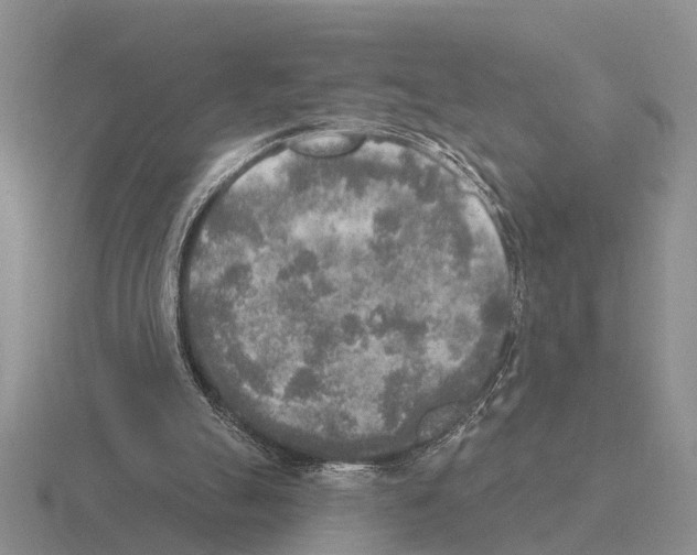 X0000115430055200912161442