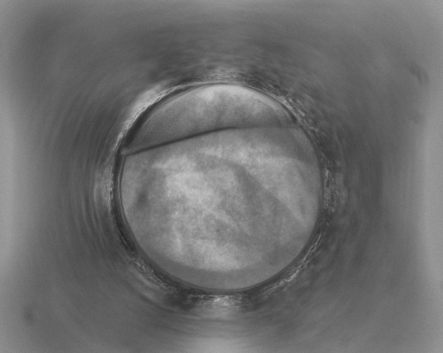 X0000115430056200912161442