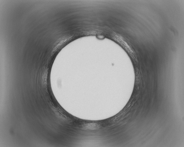 X0000115430058200912161442