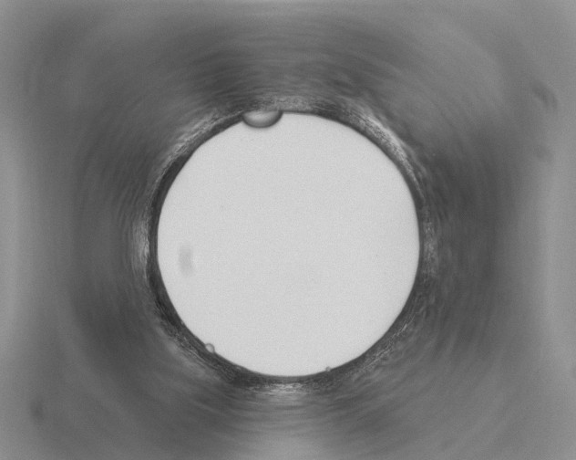 X0000115430059200912161442