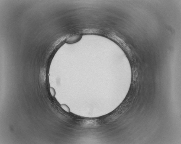 X0000115430060200912161442