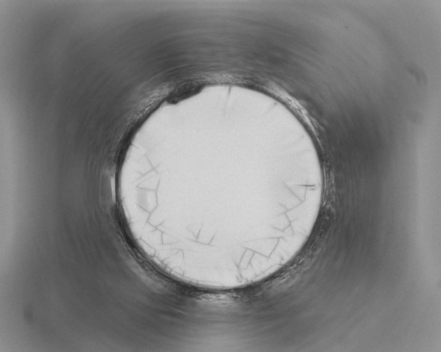 X0000115430061200912161442