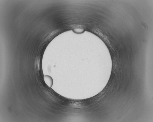 X0000115430062200912161442